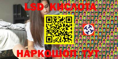прущие грибы Обнинск