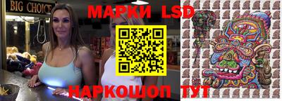 прущие грибы Обнинск