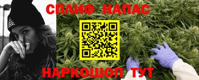прущие грибы Обнинск