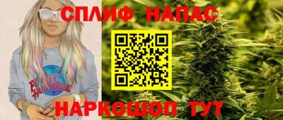 прущие грибы Обнинск