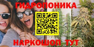 прущие грибы Обнинск